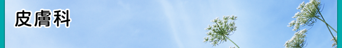 皮膚科