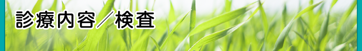 診療内容/検査