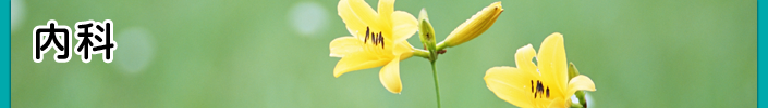 内科